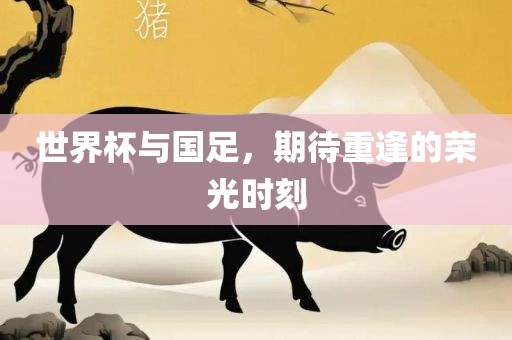 世界杯与国足，期待重逢的荣光时刻