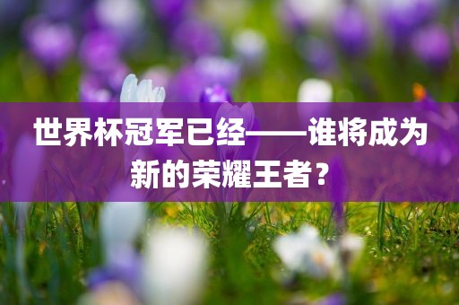 世界杯冠军已经——谁将成为新的荣耀王者？