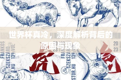 世界杯真冷，深度解析背后的原因与现象