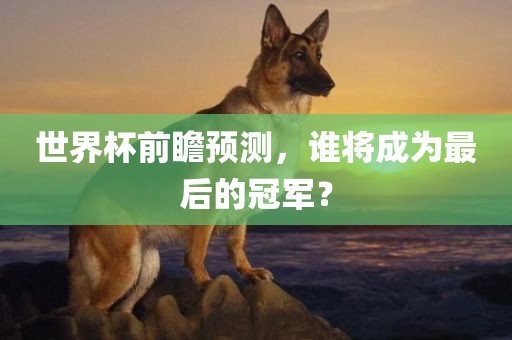 世界杯前瞻预测，谁将成为最后的冠军？