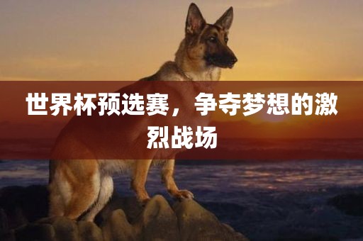 世界杯预选赛，争夺梦想的激烈战场