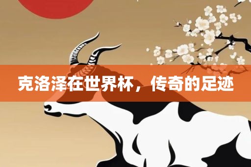 克洛泽在世界杯，传奇的足迹