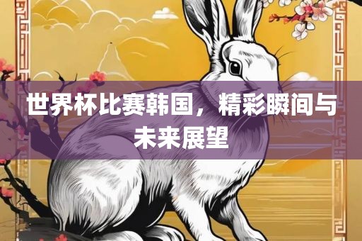 世界杯比赛韩国，精彩瞬间与未来展望