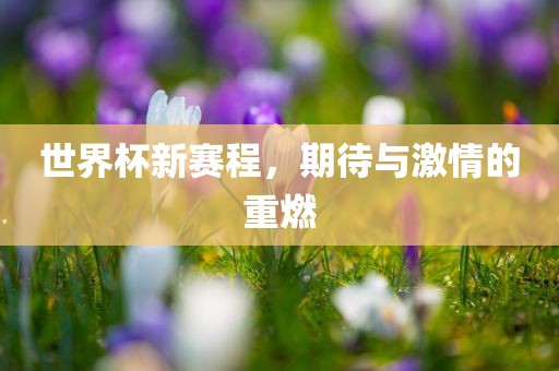 世界杯新赛程，期待与激情的重燃