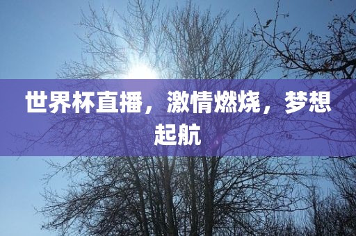 世界杯直播，激情燃烧，梦想起航