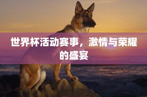 世界杯活动赛事，激情与荣耀的盛宴