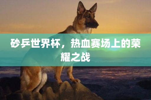 砂乒世界杯，热血赛场上的荣耀之战