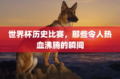世界杯历史比赛，那些令人热血沸腾的瞬间