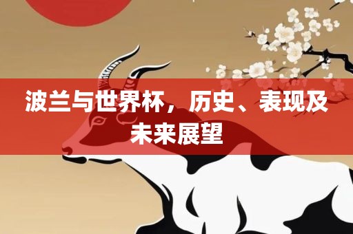 波兰与世界杯，历史、表现及未来展望