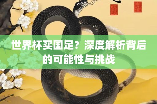 世界杯买国足？深度解析背后的可能性与挑战