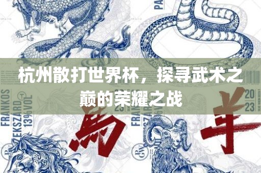 杭州散打世界杯，探寻武术之巅的荣耀之战