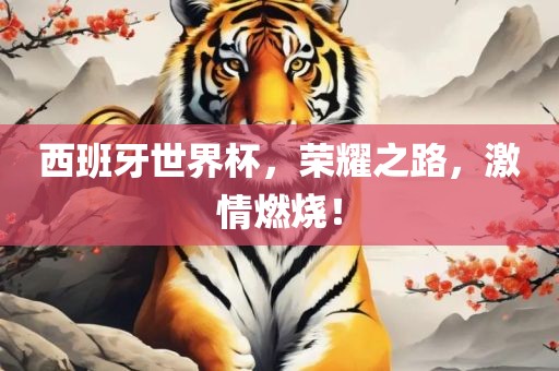 西班牙世界杯，荣耀之路，激情燃烧！
