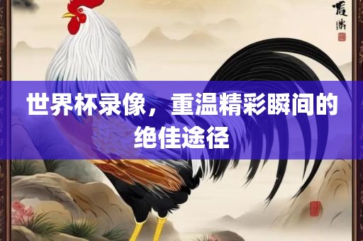 世界杯录像，重温精彩瞬间的绝佳途径