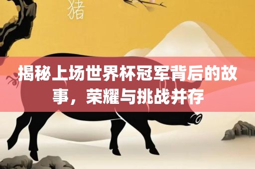 揭秘上场世界杯冠军背后的故事，荣耀与挑战并存