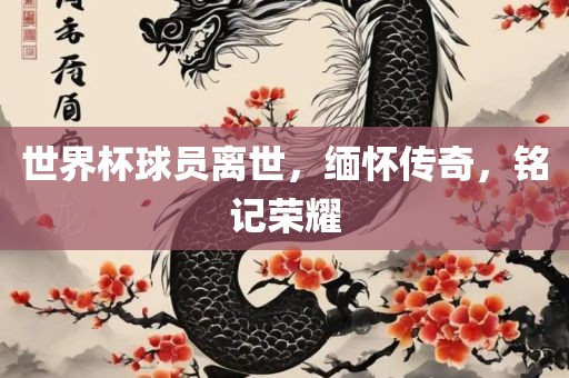 世界杯球员离世，缅怀传奇，铭记荣耀