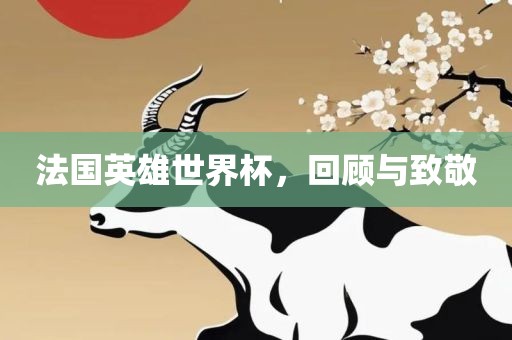 法国英雄世界杯，回顾与致敬