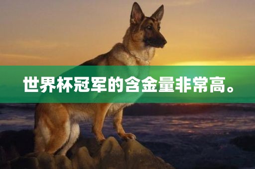 世界杯冠军的含金量非常高。