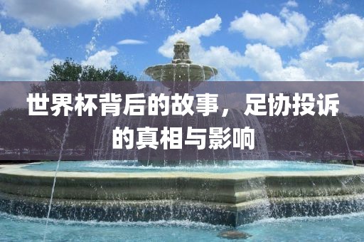 世界杯背后的故事，足协投诉的真相与影响