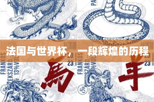 法国与世界杯，一段辉煌的历程