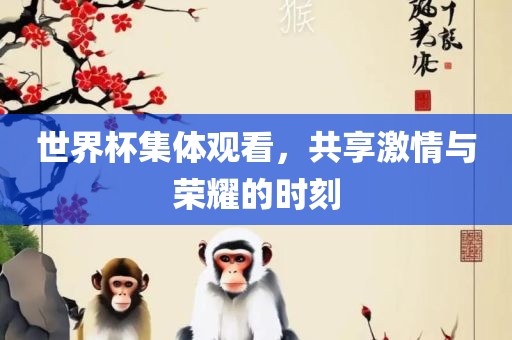 世界杯集体观看，共享激情与荣耀的时刻