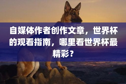 自媒体作者创作文章，世界杯的观看指南，哪里看世界杯最精彩？