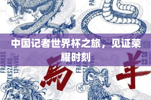 中国记者世界杯之旅，见证荣耀时刻