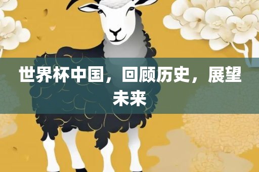 世界杯中国，回顾历史，展望未来