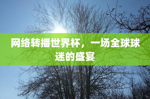 网络转播世界杯，一场全球球迷的盛宴