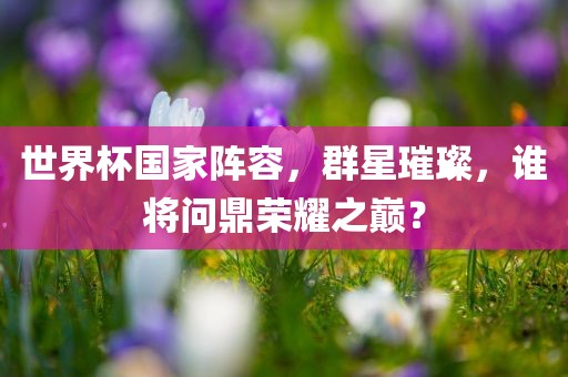 世界杯国家阵容，群星璀璨，谁将问鼎荣耀之巅？
